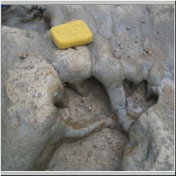 100_0657 (2009-27-07)cr.jpg